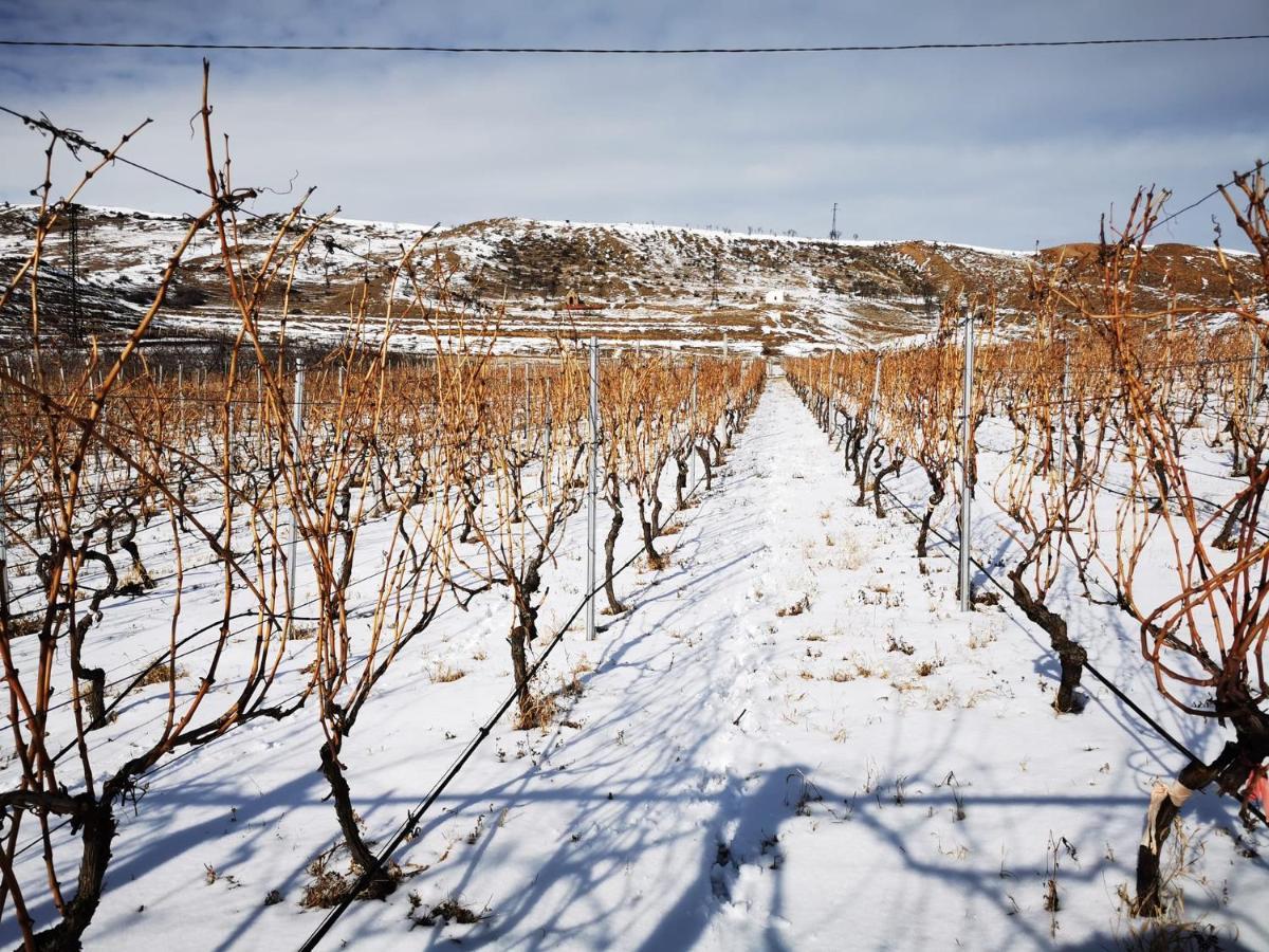 Chateau Ateni Cottages Gori Bagian luar foto